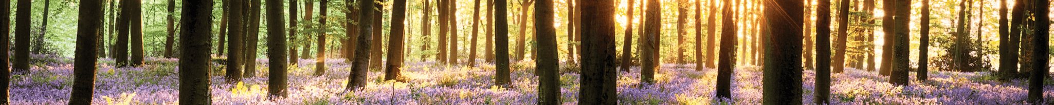 Tina Ryan's Cover Image