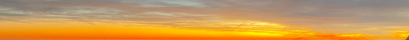 Renee Blessing's Cover Image
