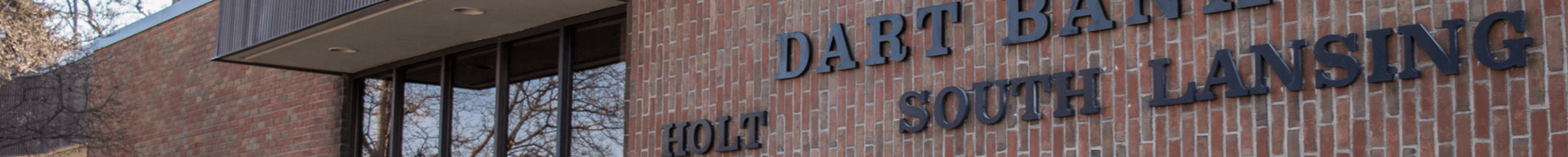 Dart Bank Holt's Cover Image