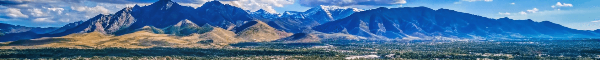 Shawna Downs's Cover Image