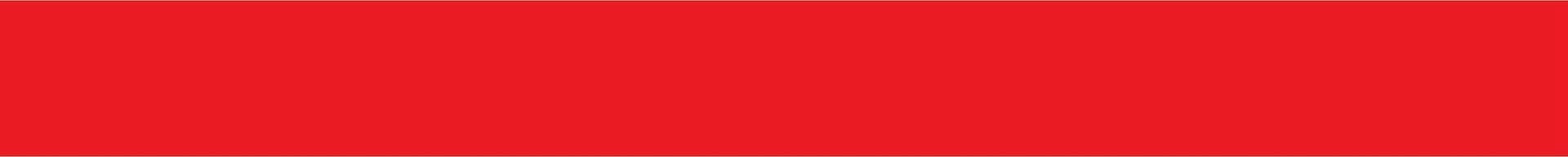 Brad Whorton's Cover Image
