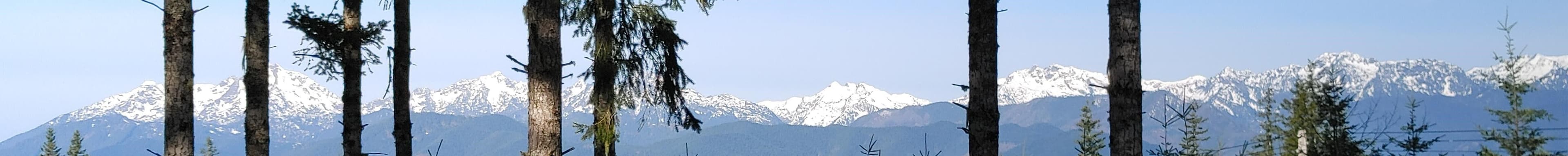 Bonnie Cotta's Cover Image
