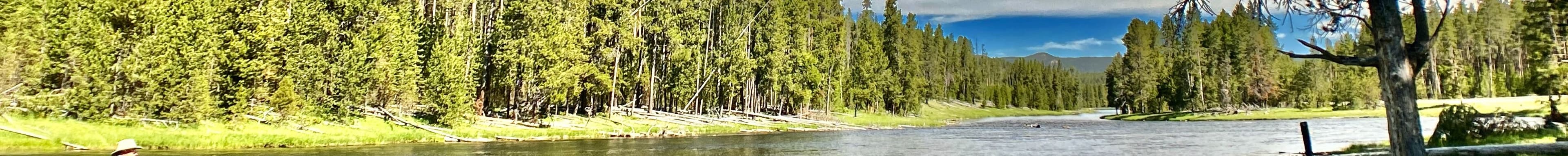 Corey Olofson's Cover Image
