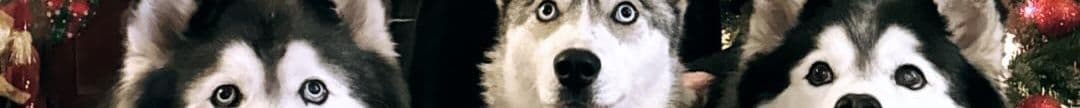 Jake Becker's Cover Image