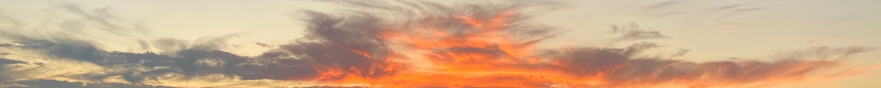 Lyndi Meek's Cover Image