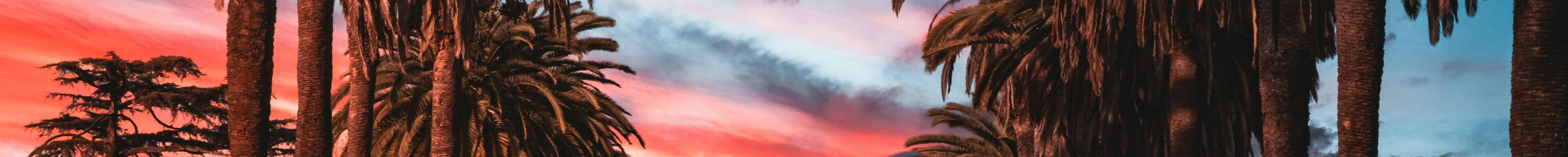 Tina Quillen's Cover Image