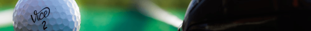 Phoenicia Friese's Cover Image