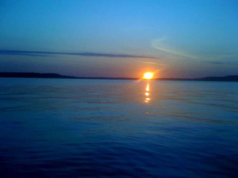 Debi Holcomb's Cover Image