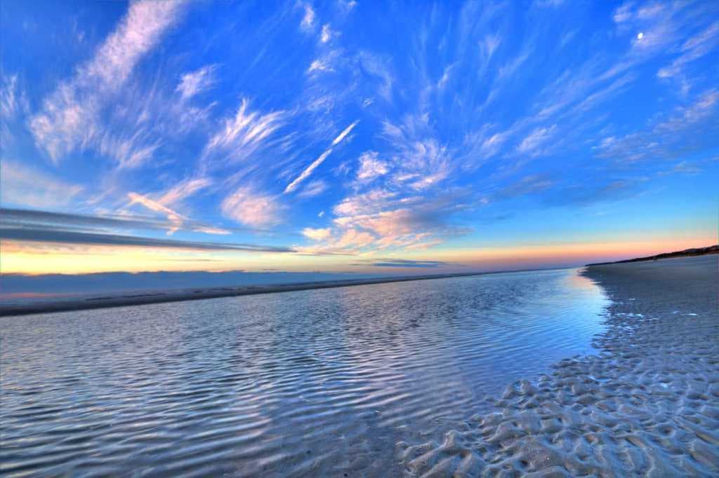 Bill Kelly's Cover Image