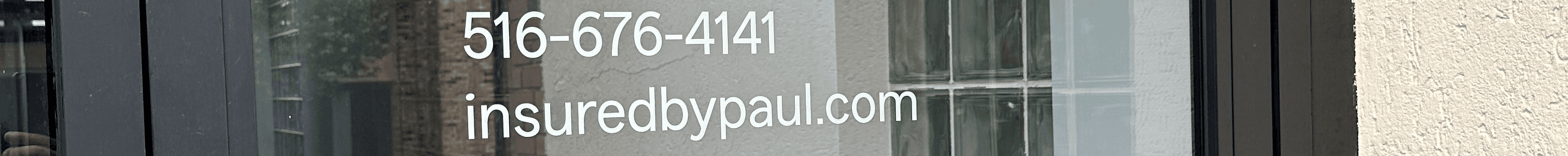 Paul Roman 's Cover Image