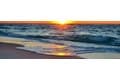 Sharon Vecchione's Cover Image