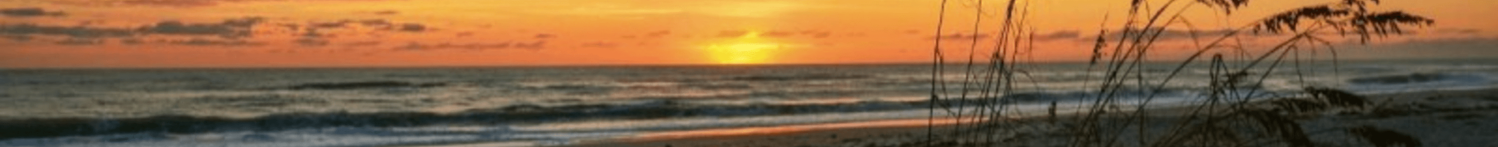 Maryann Spearman's Cover Image
