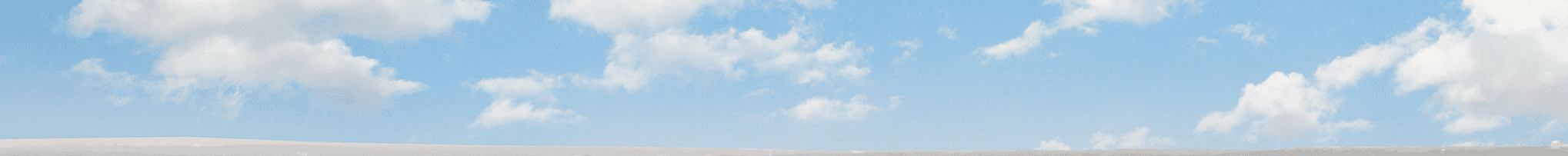 Hannah Chan's Cover Image