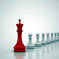 VV - Litigation in Claims