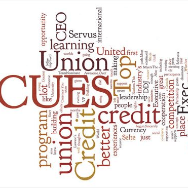 CUES Next Top Credit Union Executive Finalist 2012