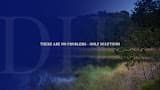 Daniel Horowitz - Gallery Photo