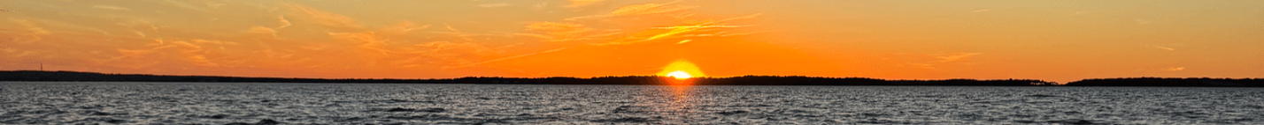 Darius Narizzano's Cover Image