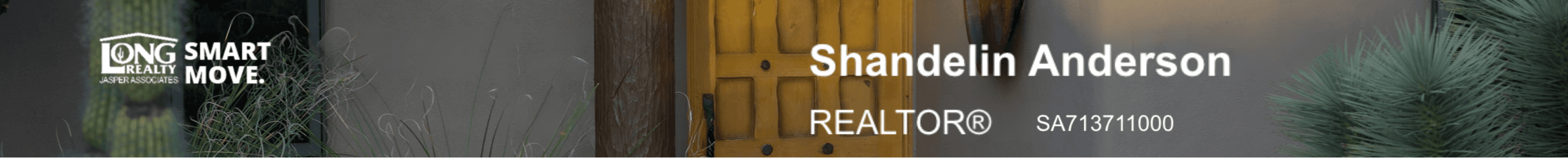 Shandelin Anderson's Cover Image