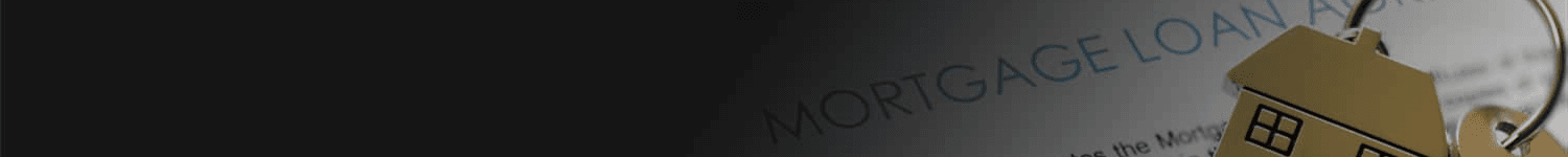 Edyta Pluta-Czarnecki's Cover Image