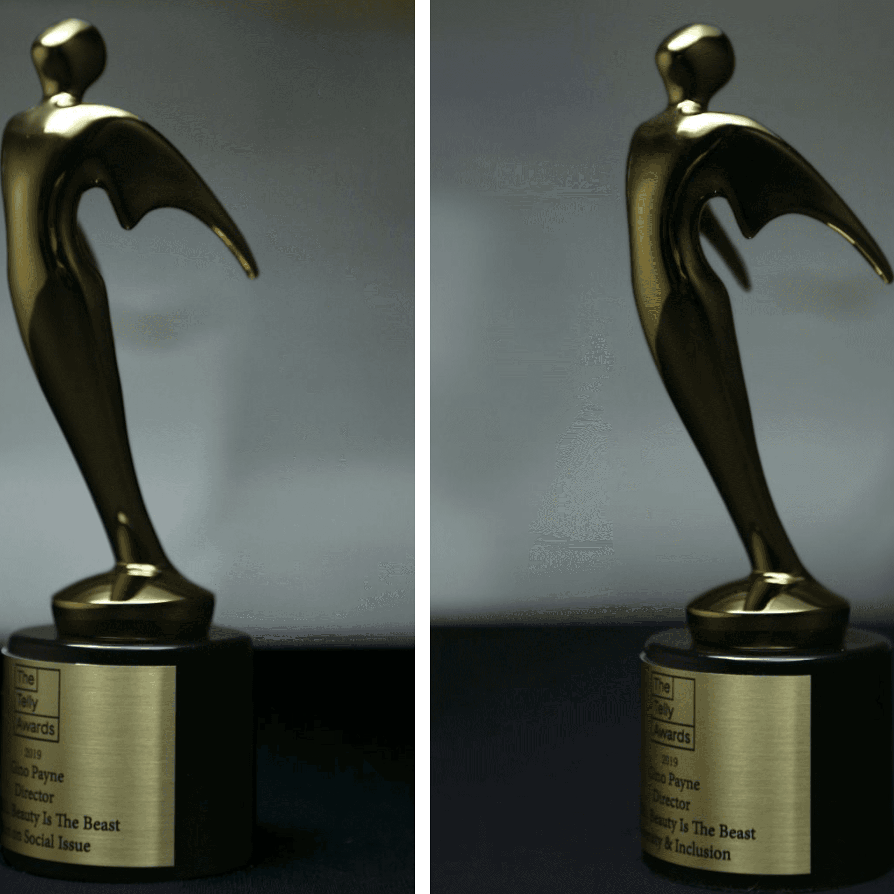 Telly Awards (Documentary)