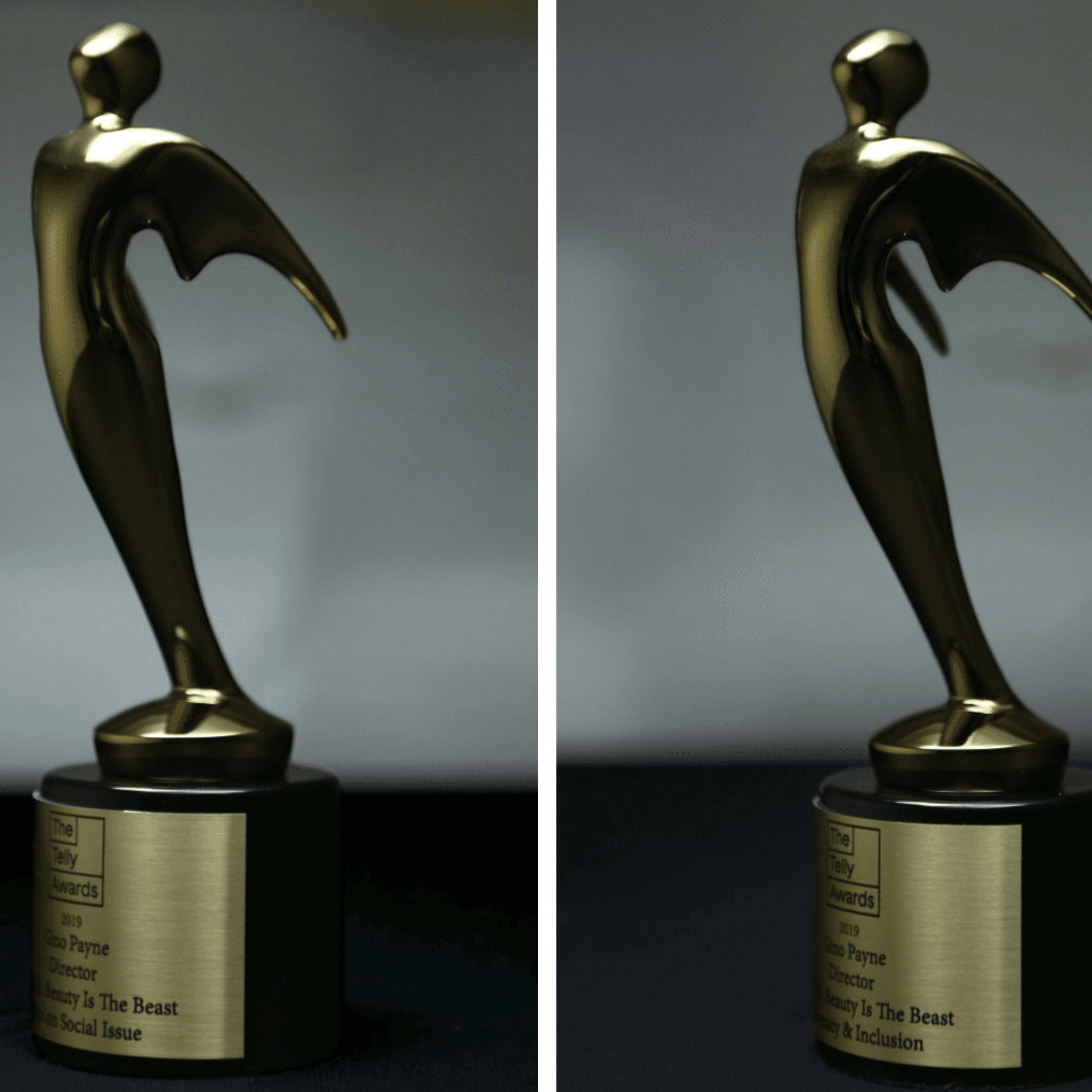 Telly Awards (Inclusion & Diversity)