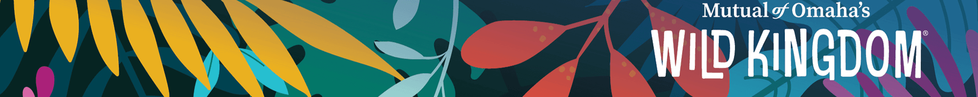 Shannon Eney's Cover Image