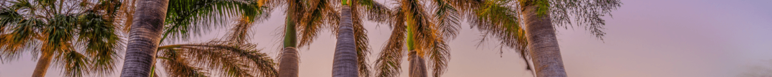 Alex Stanco's Cover Image