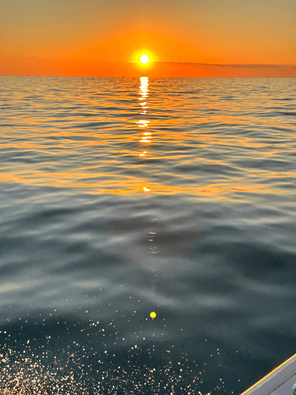 Gregory M Rutolo's Cover Image
