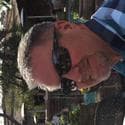 Robert Weaver - Broker / Owner in Allen, TX