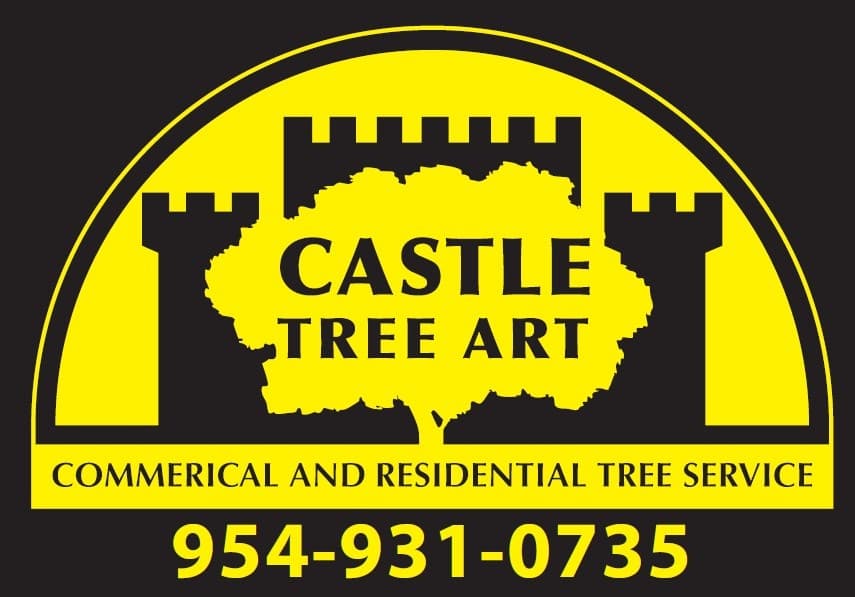 Castle Tree Art in Coral Springs, FL