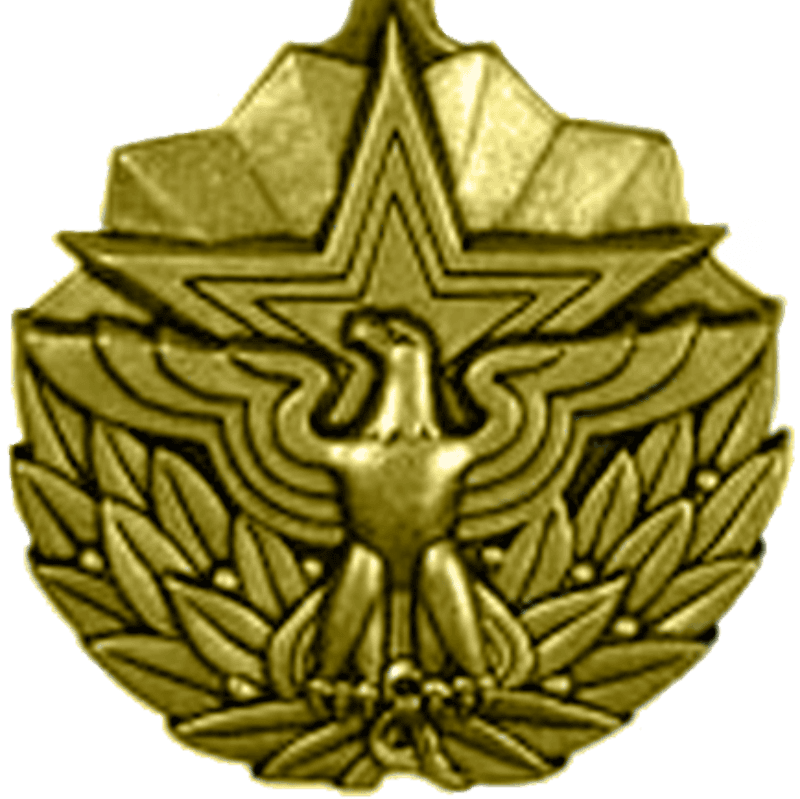 Meritorious Service Medal