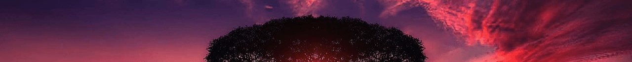 Region95255's Cover Image