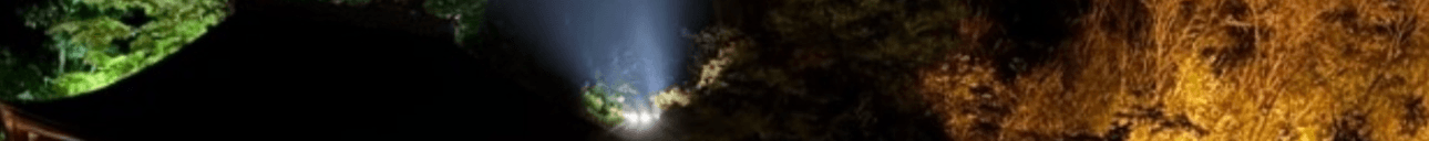 Chris Cannon's Cover Image