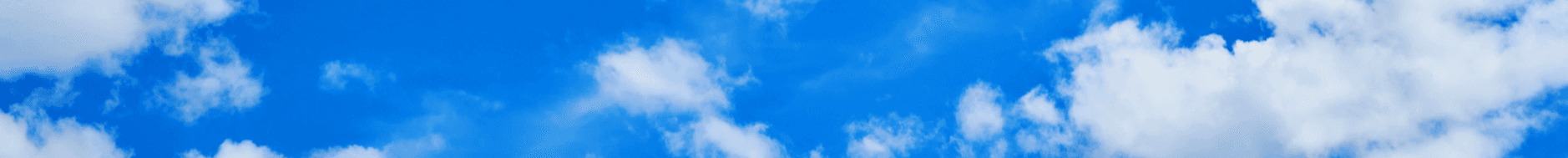 Denise McCoy's Cover Image