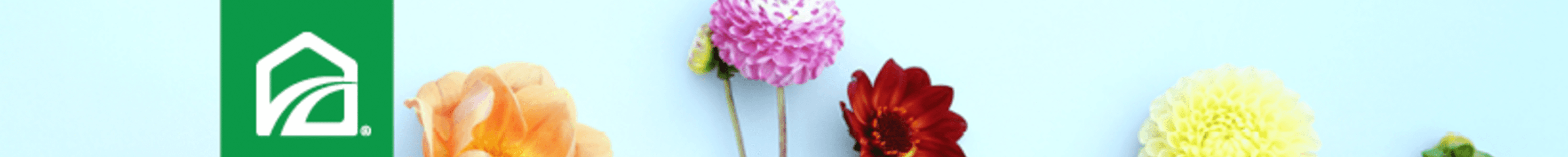 Holly Gaal's Cover Image