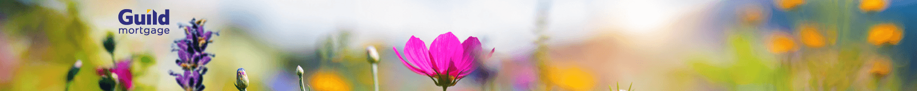 Guild Mortgage - Kristi Piatz's Cover Image