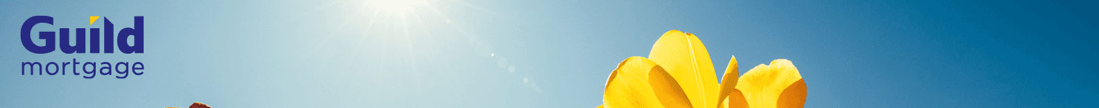 Guild Mortgage - Dani Hallam's Cover Image