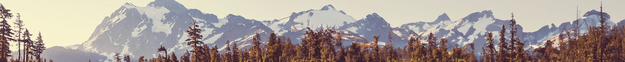 Guild Mortgage - Lucero Lopez's Cover Image