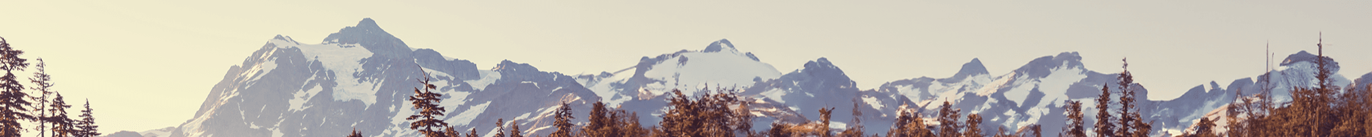 Guild Mortgage - Melissa Bergren's Cover Image