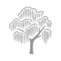 Willow Bend Mortgage in Plano, TX