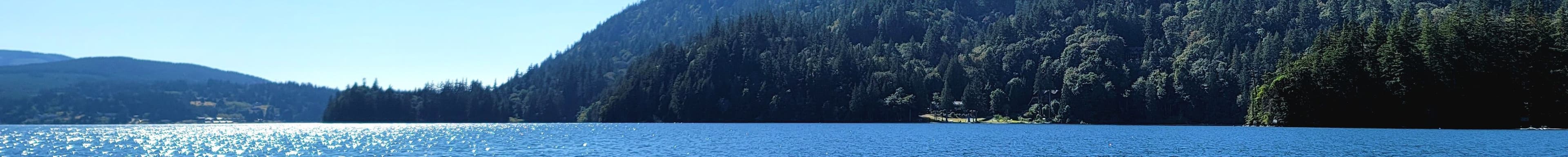 Scott Ask's Cover Image