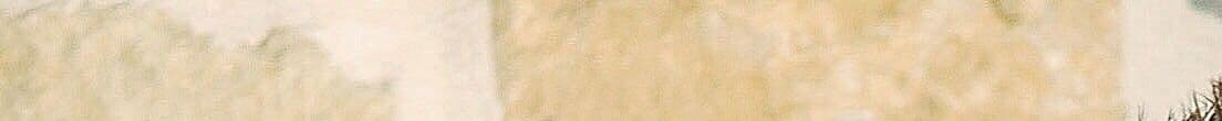 Tyler Smith's Cover Image