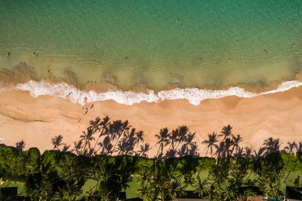 Ron Silva's Cover Image