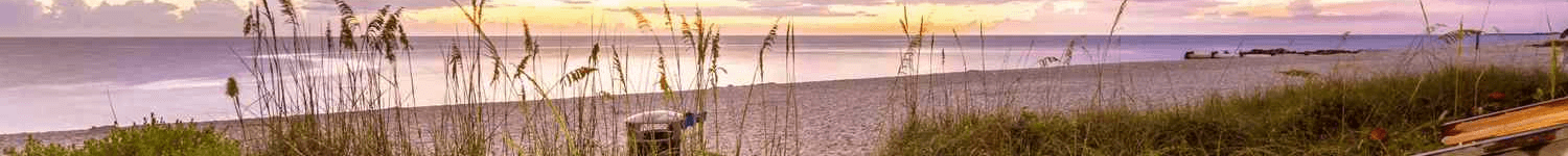 Chanda Allen's Cover Image