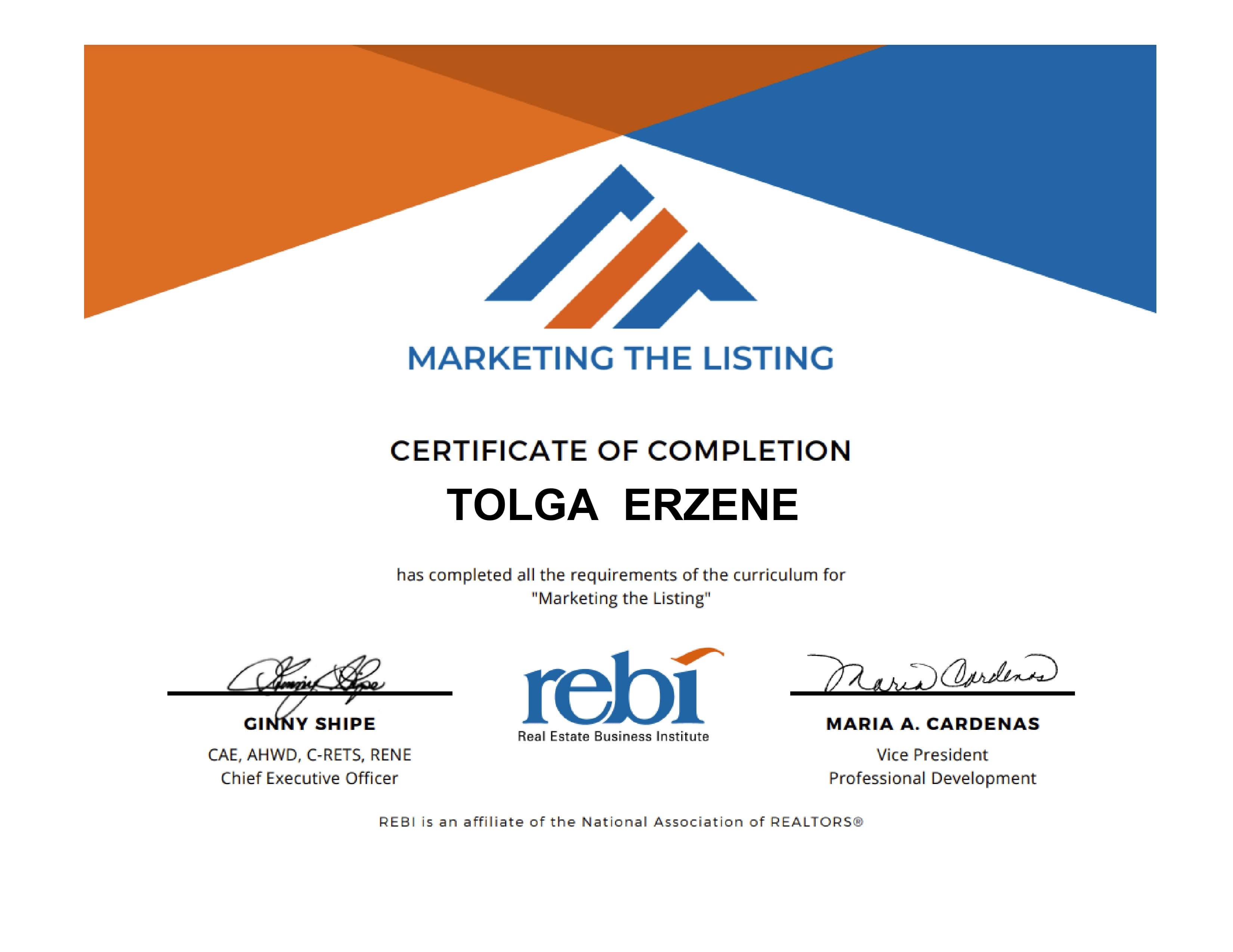 Tolga Tony Erzene - Gallery Photo