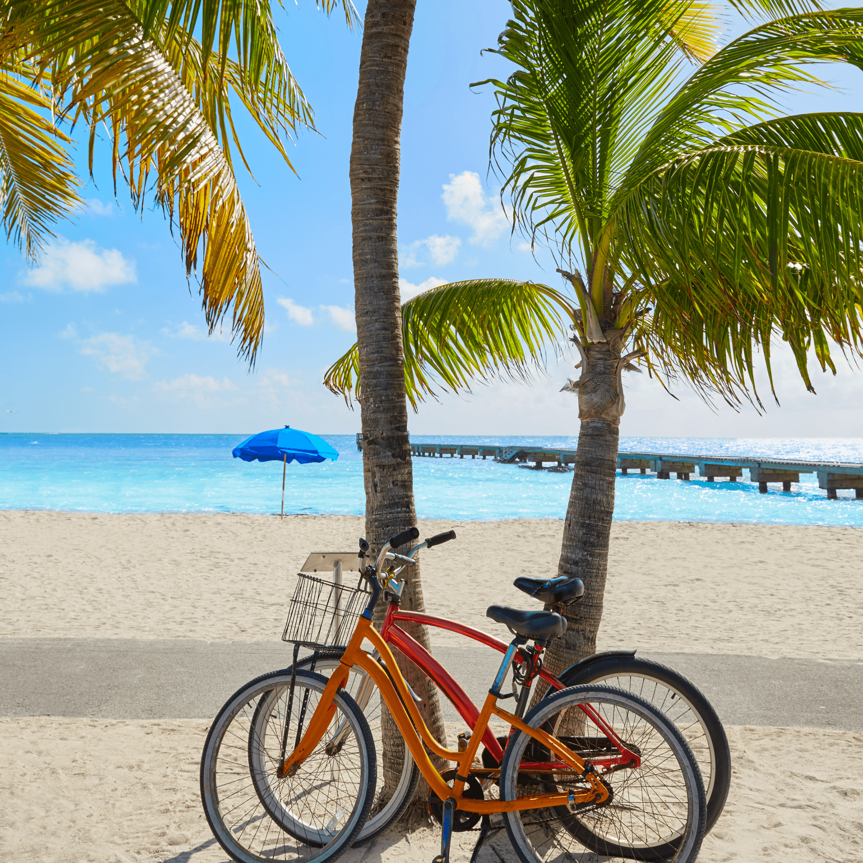Sean Farrer, P.A. Your Key West Realtor - Gallery Photo