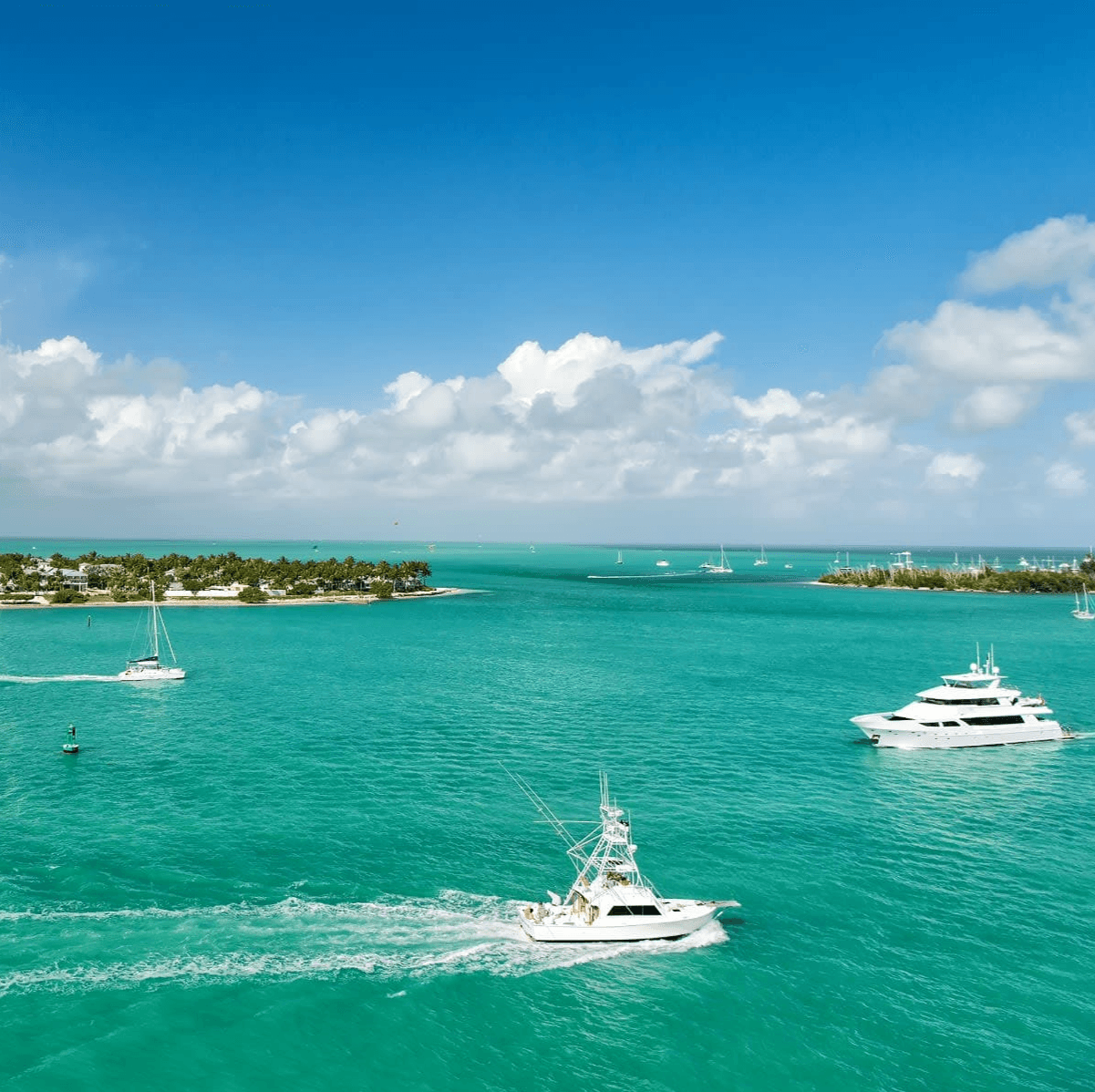 Sean Farrer, P.A. Your Key West Realtor - Gallery Photo
