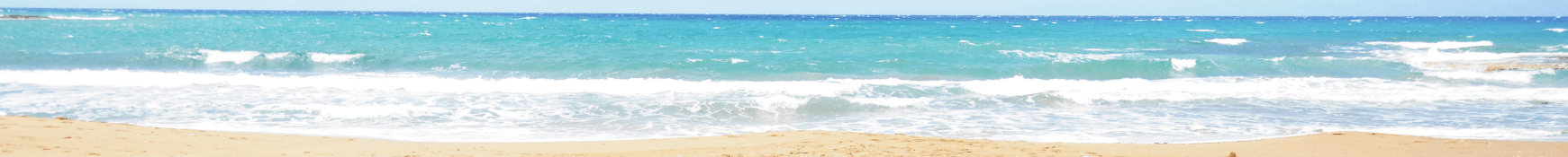 Renee Hahn's Cover Image
