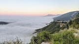 Destiney Roxburgh - Gallery Photo