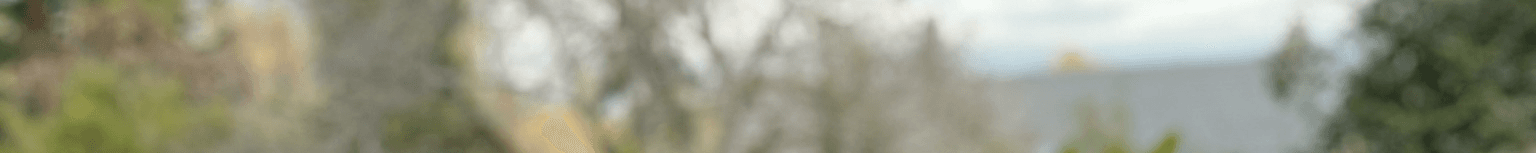 Rachel White's Cover Image